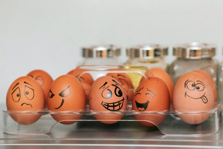 Eier mit Gesichtern im Kühlschrank als Metapher fürs Home Office, Lagerkoller.